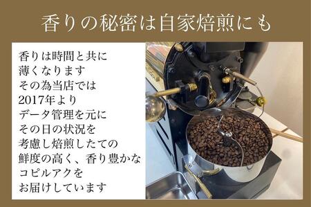 最高級コーヒー コピルアク 100g【中挽き(ペーパードリップ、珈琲メーカー)】