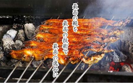 うな亭特製手焼き炭焼うなぎ 5尾セット