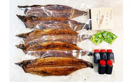 うな亭特製手焼き炭焼うなぎ 5尾セット