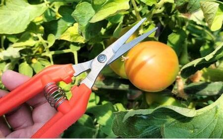 ウルトラライト ステンレス  TP－530S