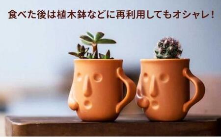 はにわぷりん（カスタードプリン×4個）