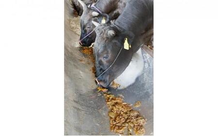 大阪ウメビーフ ローススライス 700g