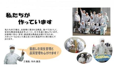 堺の技が光る無添加の牛肉100%ハンバーグ 20食セット
