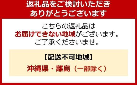 ヱビス自転車 ミニベロカーゴ電動アシスト自転車 GRC-515L-PET 20インチ シマノ製外装7段変速【本体：マットベージュ×リュック：チャコール】