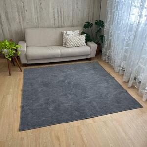 ペットに優しい 抗菌カーペット 2帖 ブラック