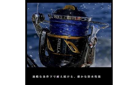 シマノ 釣具 ステラ SW 30000