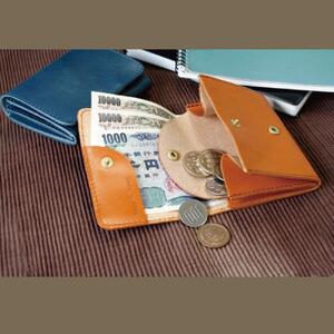 背面カード入れ付きコンパクト二つ折り財布 ブラック