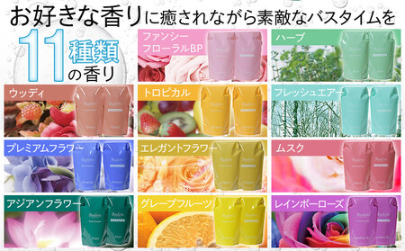 バーデンス シャンプートリートメント(フレッシュエアーの香り)