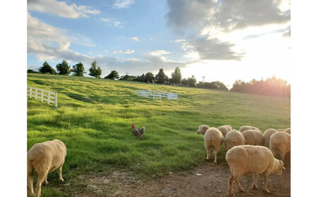 ハーベストの丘入園券 大人