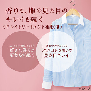 ライオン「ソフランアロマリッチクレア」本体2本+替特大6袋 (480g×2本+750g×6袋)