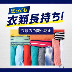 ライオン「NANOXoneニオイ専用」つめかえ用超特大セット(1,080g×6個)