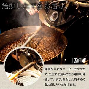 【豆】コーヒー #186 メキシコ チアパス カフェインレス デカフェ 310g 当日焙煎 大山珈琲