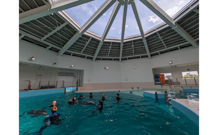 ノアドルフィンドーム ペア入場券