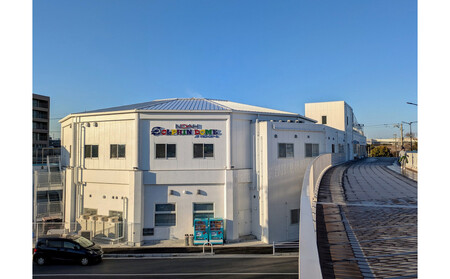 ノアドルフィンドーム 浅瀬でイルカと遊ぶ体験 ペア入場券付