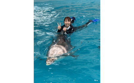 ノアドルフィンドーム　ドルフィンスイム体験　ペア入場券付