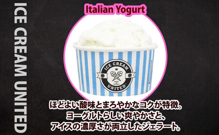 【 ICE CREAM UNITED 】イタリアンヨーグルト 100ml × 4個 ヨーグルト 濃厚 ジェラート 砂糖 アイス コク 濃厚 冷凍 冷凍庫 氷 イタリア デザート アイスクリームユナイテッド 大阪府 堺市