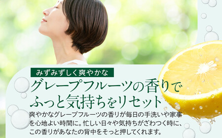 【テレビで紹介されました!】バーデンス ボディシャンプーB 詰替え 400ml 2本セット