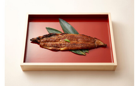 〈堀忠〉浜名湖産 天然鰻 2尾〈高島屋選定品〉