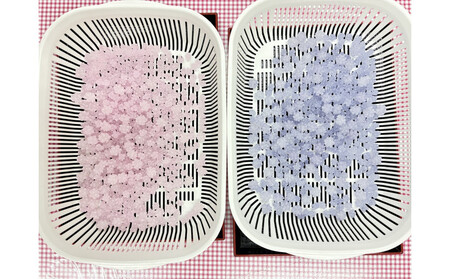 プレミアムこんぺいとう工房 体験チケット 【プラスお持ち帰り用瓶】