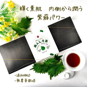 美人しそ茶_L&10p1