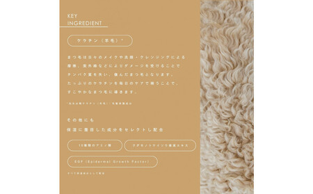 ザアイラッシュセラム トリートメント+キープ2本セット