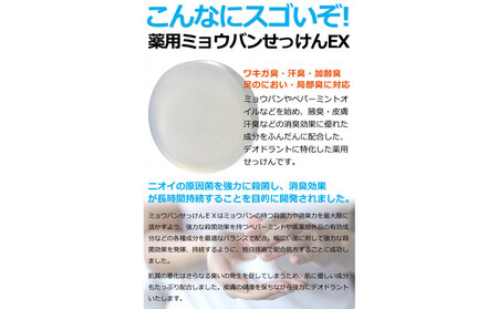 ドクターデオドラント 薬用ミョウバンせっけんEX 70g