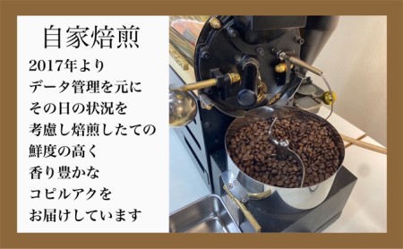 ジャコウネコ ドリップコーヒー 1750g(250g×7袋セット) 最高級珈琲2025