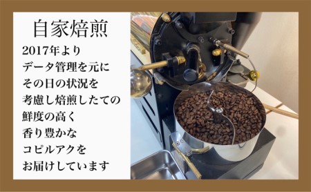 コーヒー豆 最高級 コーヒー コピルアク ドリップ パイロットモデル 