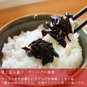 佃煮 定期便 3ヶ月 ご飯泥棒 つくだ煮 セット 鳥居商店 大正14年創業の昆布・佃煮専門店 老舗 根昆布 昆布 きくらげ 生姜 かつお節 鰹節 食べ比べ ごはんのお供 ご飯のお供 お弁当 おかず 惣菜 お惣菜 詰め合わせ 常温 大阪府 岸和田市 定期 3回