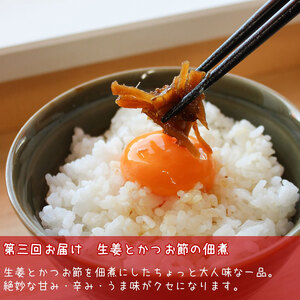 佃煮 定期便 3ヶ月 ご飯泥棒 つくだ煮 セット 鳥居商店 大正14年創業の昆布・佃煮専門店 老舗 根昆布 昆布 きくらげ 生姜 かつお節 鰹節 食べ比べ ごはんのお供 ご飯のお供 お弁当 おかず 惣菜 お惣菜 詰め合わせ 常温 大阪府 岸和田市 定期 3回