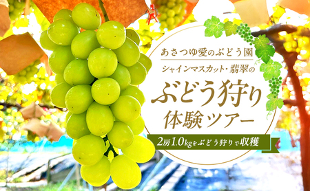【先行予約・数量限定】人気の体験型返礼品2026年夏秋体験【 あさつゆ愛のぶどう園 シャインマスカット 翡翠 ぶどう狩り 体験ツアー 2房 1kg】葡萄  体験 チケット家族 大阪 大阪府 岸和田市