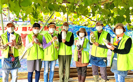 【先行予約・数量限定】人気の体験型返礼品2026年夏秋体験【 あさつゆ愛のぶどう園 シャインマスカット 翡翠 ぶどう狩り 体験ツアー 2房 1kg】葡萄  体験 チケット家族 大阪 大阪府 岸和田市