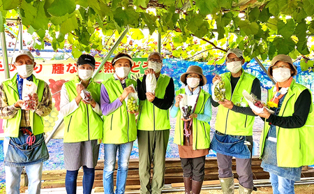 【先行予約・数量限定】人気の体験型返礼品2026年夏秋体験【 あさつゆ愛のぶどう園 シャインマスカット 翡翠 ぶどう狩り 体験ツアー 3房 1.5kg 】葡萄  体験チケット家族 大阪 大阪府 岸和田市