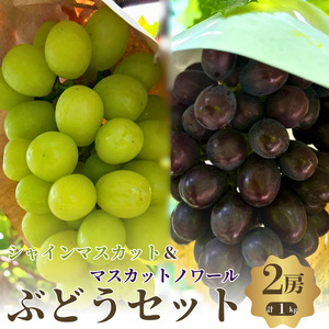 【先行予約】【数量限定】秋本番 おすすめ感謝 セット ぶどうセット シャインマスカット マスカットノワール 2房 詰め合わせ 葡萄 マスカット 食べ比べ フルーツ  大阪 大阪府 岸和田市