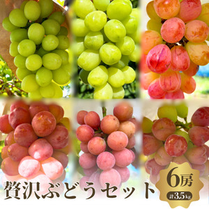 【先行予約】【数量限定】贅沢 ぶどうセット 4種 6房 セット 詰め合わせ 葡萄 ぶどう ブドウ マスカット シャインマスカット 食べ比べ フルーツ 果物  旬の果物 大阪 大阪府 岸和田市