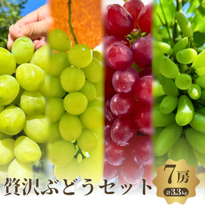 【先行予約】【数量限定】贅沢 極旨 ぶどうセット 4種 7房 セット 詰め合わせ 葡萄 ぶどう ブドウ マスカット シャインマスカット 食べ比べ フルーツ 果物  旬の果物 大阪 大阪府 岸和田市