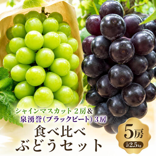 【先行予約】【数量限定】人気 ぶどうセット 5房 セット 詰め合わせ シャインマスカット 2房 泉湧誉 3房 ぶどう マスカット シャインマスカット 食べ比べ 旬のフルーツ 大阪 大阪府 岸和田市
