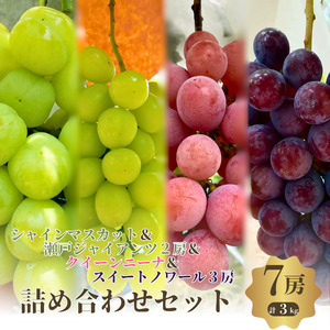 【先行予約】【数量限定】家庭用 おすすめ感謝 セット 7房 3kg 詰め合わせ 葡萄 ぶどう マスカット シャインマスカット 食べ比べ ぶどうセット フルーツ 果物  旬の果物 大阪 大阪府 岸和田市 7,200円