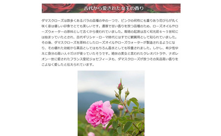 ラステニエ ブリリアントローズウォーター+ナリシングクリーム セット 化粧水 クリーム 保湿 美容 美容用品 美容グッズ ダマスクローズ ダマスクローズウォーター オーガニック 全身用 頭皮 ケア用品 ケアグッズ ボディケア 大阪 大阪府 岸和田市