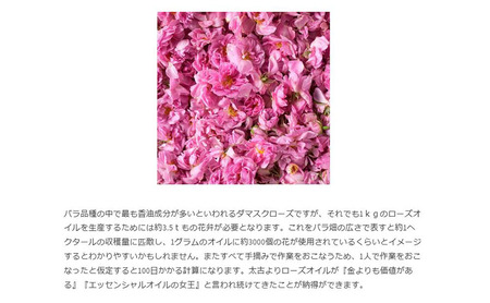 ラステニエ ブリリアントローズウォーター+ナリシングクリーム セット 化粧水 クリーム 保湿 美容 美容用品 美容グッズ ダマスクローズ ダマスクローズウォーター オーガニック 全身用 頭皮 ケア用品 ケアグッズ ボディケア 大阪 大阪府 岸和田市