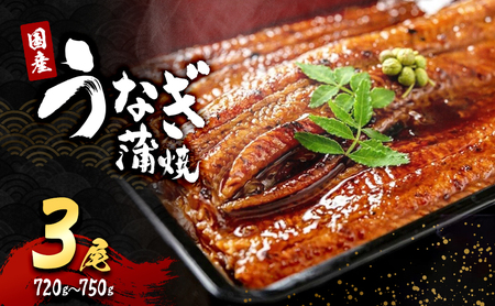 国産うなぎ蒲焼 3尾 (720g～750g) セット 詰め合わせ 国産 うなぎ 鰻 国産うなぎ 国産鰻 うなぎの蒲焼 鰻の蒲焼 うなぎの蒲焼き 鰻の蒲焼き 蒲焼き 惣菜 魚 魚介 魚介類 大阪 大阪府 岸和田市