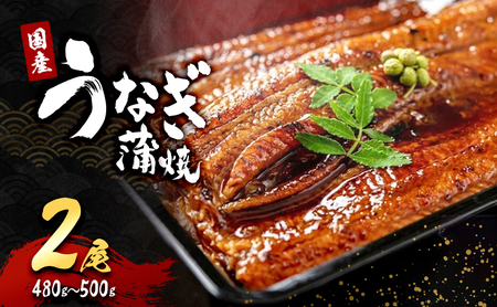 国産うなぎ蒲焼 2尾 (480g～500g) セット 詰め合わせ 国産 うなぎ 鰻 国産うなぎ 国産鰻 うなぎの蒲焼 鰻の蒲焼 うなぎの蒲焼き 鰻の蒲焼き 蒲焼き 惣菜 魚 魚介 魚介類 大阪 大阪府 岸和田市