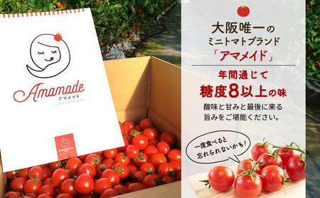 先行予約 ミニトマト 1kg 農家さん一押し 期間限定 トマト アマメイド 糖度8度以上 甘い 野菜 旬 春 夏 旬の野菜 季節の野菜 先行 予約 期間 限定 2026年 5月6月出荷 常温 大阪 大阪府 岸和田市