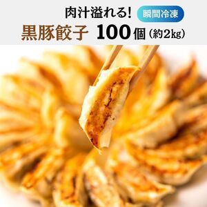 【瞬間冷凍】肉汁溢れる 黒豚餃子 100個（2kg）