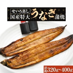 蒸篭(せいろ)蒸し 国産特大うなぎ蒲焼2尾 特製タレ2個【1094616