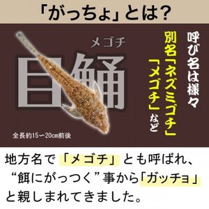 泉州名物 がっちょの唐揚げ(スタンダード味)50g×10個入【1419512