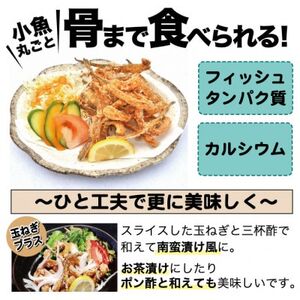 泉州名物 がっちょの唐揚げ(スタンダード味)50g×10個入【1419512