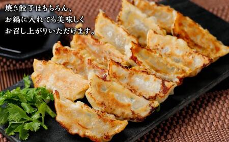 黒豚　冷凍餃子　96個【焼き餃子 焼きギョーザ 焼きぎょうざ 自家製 餃子 冷凍餃子 餃子 ぎょうざ 餃子 国産 餃子 こだわり餃子 冷凍餃子 餃子 国産餃子 餃子 冷凍ギョーザ ぎょうざ 餃子 餃子料理 餃子 ギョーザ料理 餃子 冷凍餃子 ギョーザ 餃子 ぎょうざ 餃子 黒豚餃子 餃子 冷凍餃子 餃子 ぎょうざ 餃子 焼き餃子 餃子 焼きギョーザ 焼きぎょうざ 焼き餃子 自家製 餃子 ギョーザ 餃子 ぎょうざ 餃子 96個 餃子 大阪府 豊中市 AJ001】