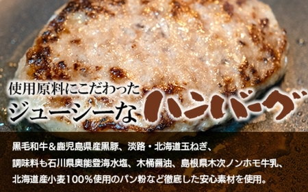 ハンバーグ 厳選素材使用のハンバーグ 20個【hane0006】