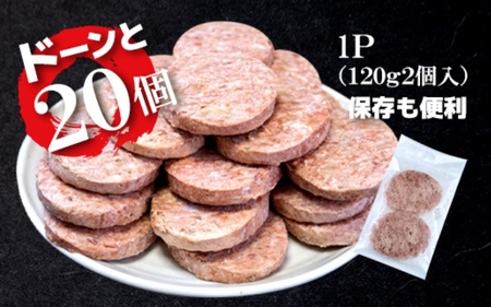 ハンバーグ 厳選素材使用のハンバーグ 20個【hane0006】